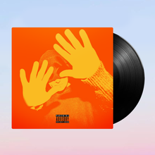 Load image into Gallery viewer, Maximum Joy Vinyl