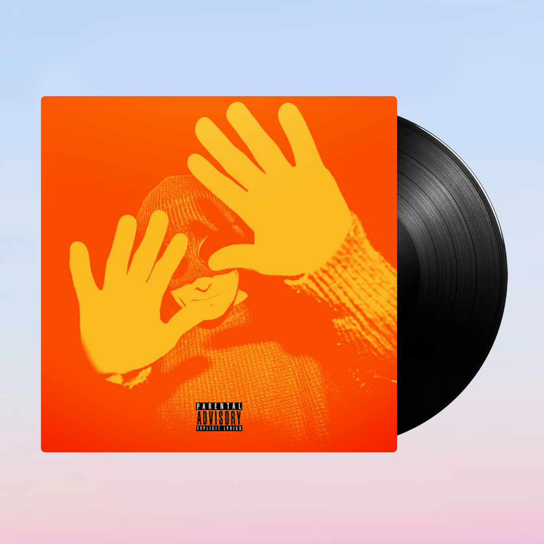 Maximum Joy Vinyl – Mystery Skulls Maximum Joy Vinyl – Mystery Skulls