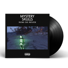 Load image into Gallery viewer, Now or Never Vinyl (2020)