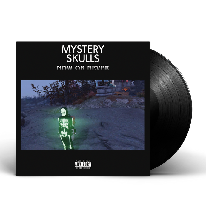 Now or Never Vinyl (2020)