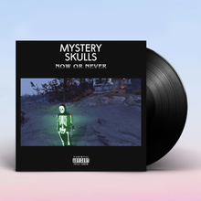 Load image into Gallery viewer, Now or Never Vinyl (2020)